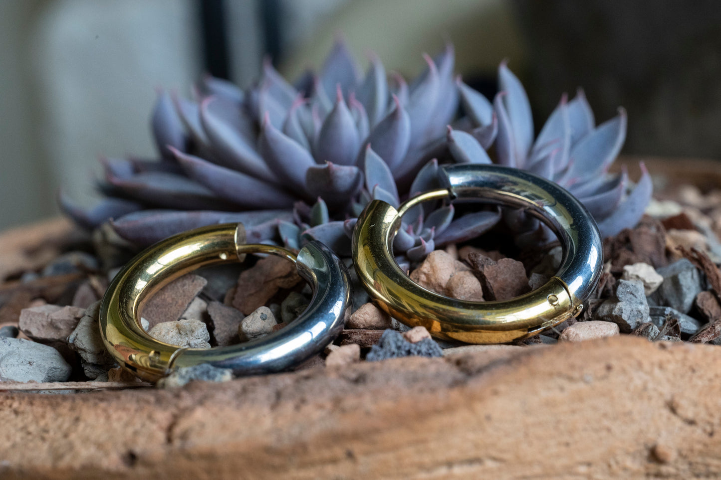 Sterling steel and Gold Plated Hoop Earrings
