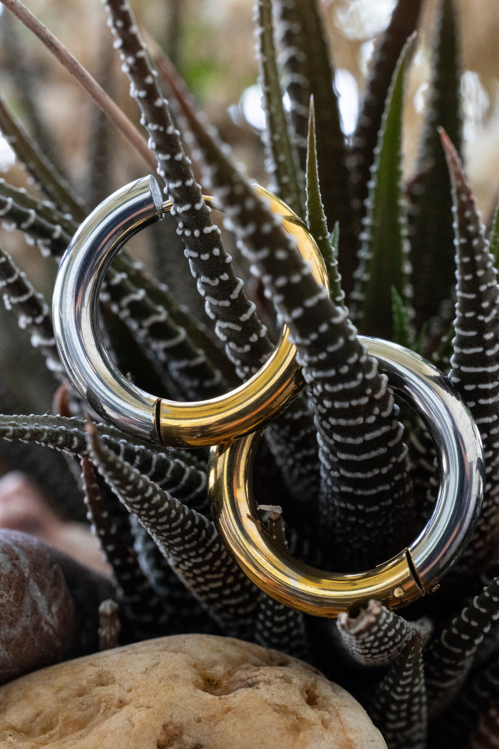 Sterling steel and Gold Plated Hoop Earrings