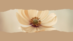 Flor Beige Horizontal