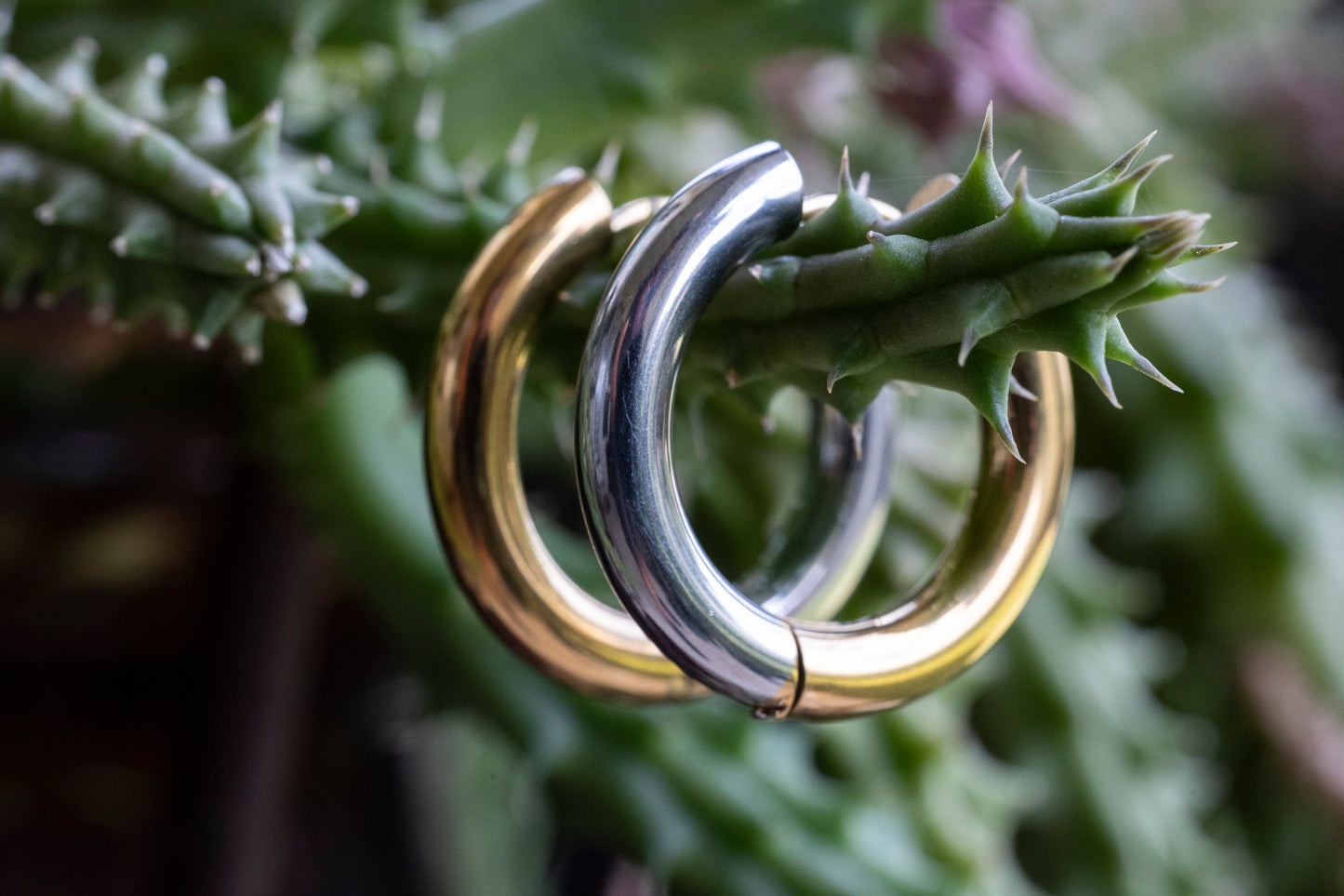 Sterling steel and Gold Plated Hoop Earrings