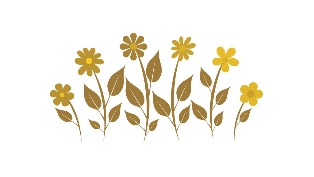 3 Horizontal Transparent Background PNG Flower Design / Flores de Colores