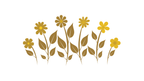 3 Horizontal Transparent Background PNG Flower Design / Flores de Colores